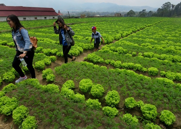 du-lich-Indonesia